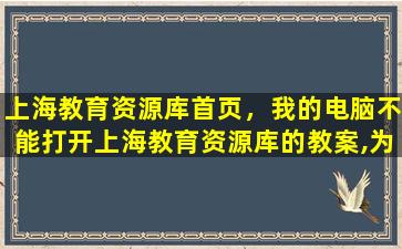 上海教育资源库首页，我的电脑不能打开上海教育资源库的教案,为什么