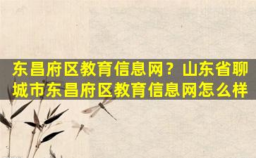 东昌府区教育信息网？山东省聊城市东昌府区教育信息网怎么样