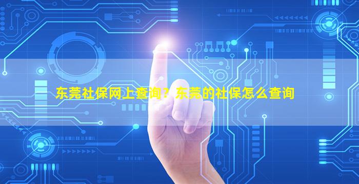 东莞社保网上查询？东莞的社保怎么查询