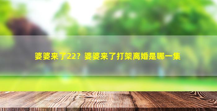 婆婆来了22？婆婆来了打架离婚是哪一集