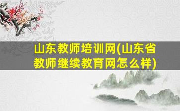 山东教师培训网(山东省教师继续教育网怎么样)