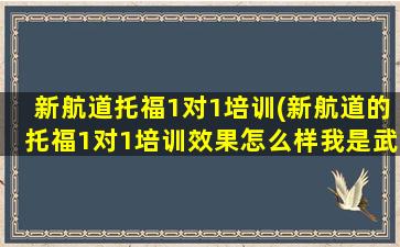 新航道托福1对1培训(新航道的托福1对1培训效果怎么样我是武汉的)