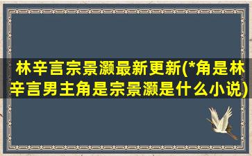 林辛言宗景灏最新更新(*角是林辛言男主角是宗景灏是什么小说)