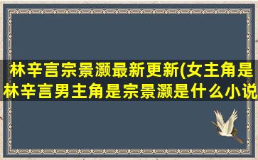 林辛言宗景灏最新更新(*角是林辛言男主角是宗景灏是什么小说)