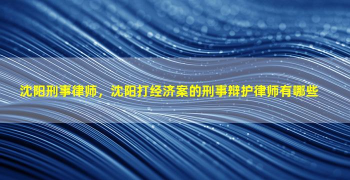 沈阳刑事律师，沈阳打经济案的刑事辩护律师有哪些