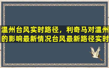 温州台风实时路径，利奇马对温州的影响最新情况台风最新路径实时路线图