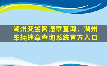 湖州交警网违章查询，湖州车辆违章查询系统官方入口