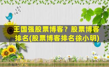 王国强股票博客？股票博客排名(股票博客排名徐小明)