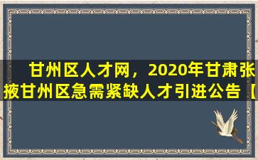 甘州区人才网，2020年甘肃张掖甘州区急需紧缺人才引进公告【19人】