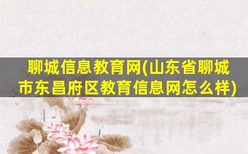 聊城信息教育网(山东省聊城市东昌府区教育信息网怎么样)