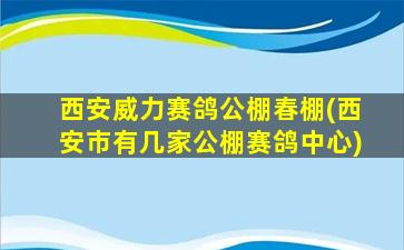 西安威力赛鸽公棚春棚(西安市有几家公棚赛鸽中心)