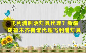 飞利浦照明灯具代理？*乌鲁木齐有谁代理飞利浦灯具